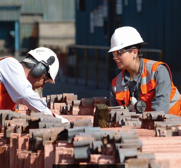 Ingreso Laboral Promedio 2025: ¿Cómo Varían los Sueldos en Chile?
