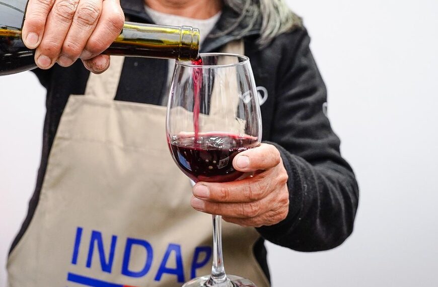 Vinos Campesinos: La Internacionalización que Sorprende a Todos