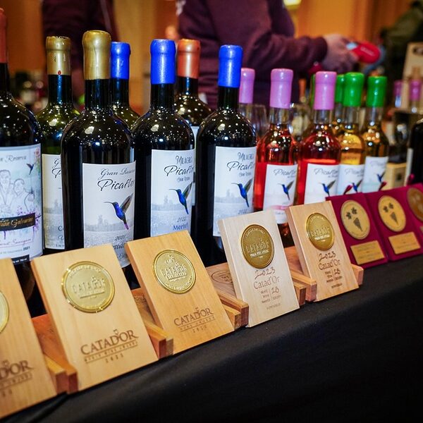 Catad´Or World Wine Awards: Todo lo que debes saber para participar